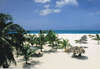 Bucuti Beach Resort 